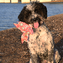 Photo of Ruthie